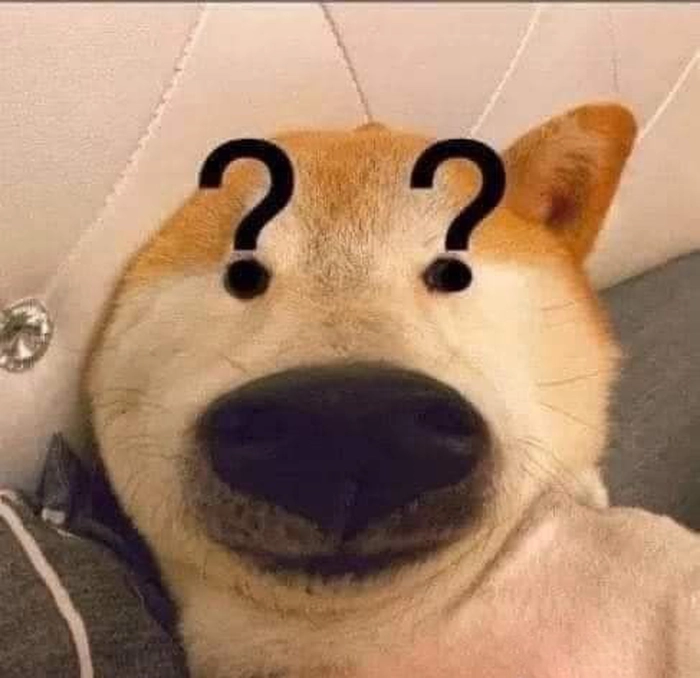 Ảnh chó meme vô tri gây cười