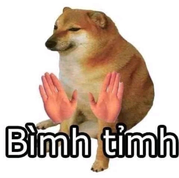 Ảnh chó meme vô tri hài không tưởng