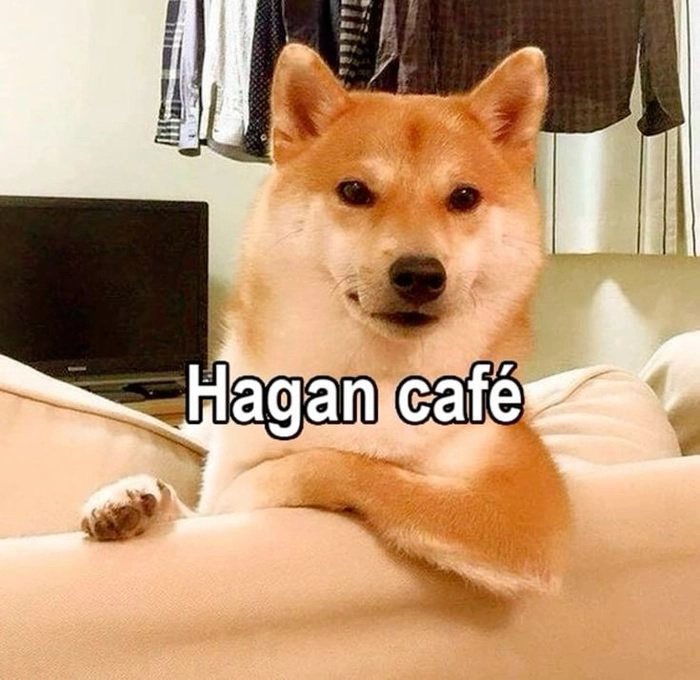 Ảnh chó meme vô tri lầy lội