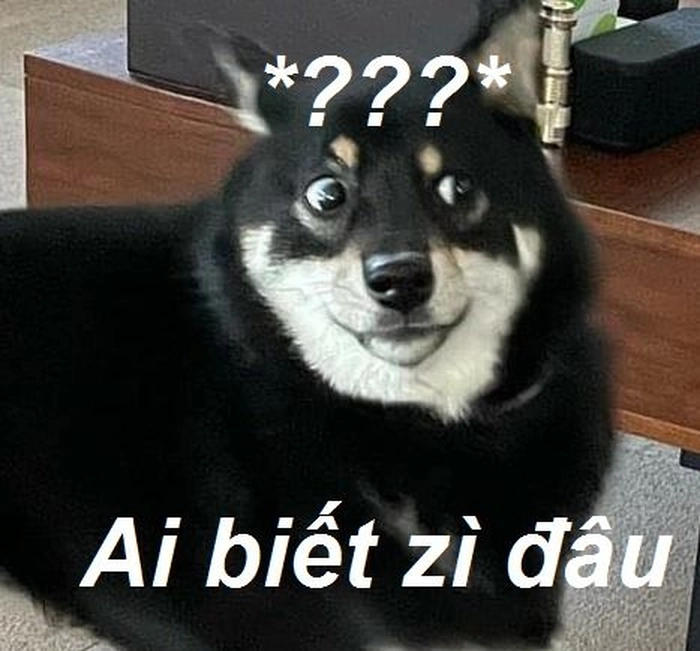 Ảnh chó meme vô tri viral mạng