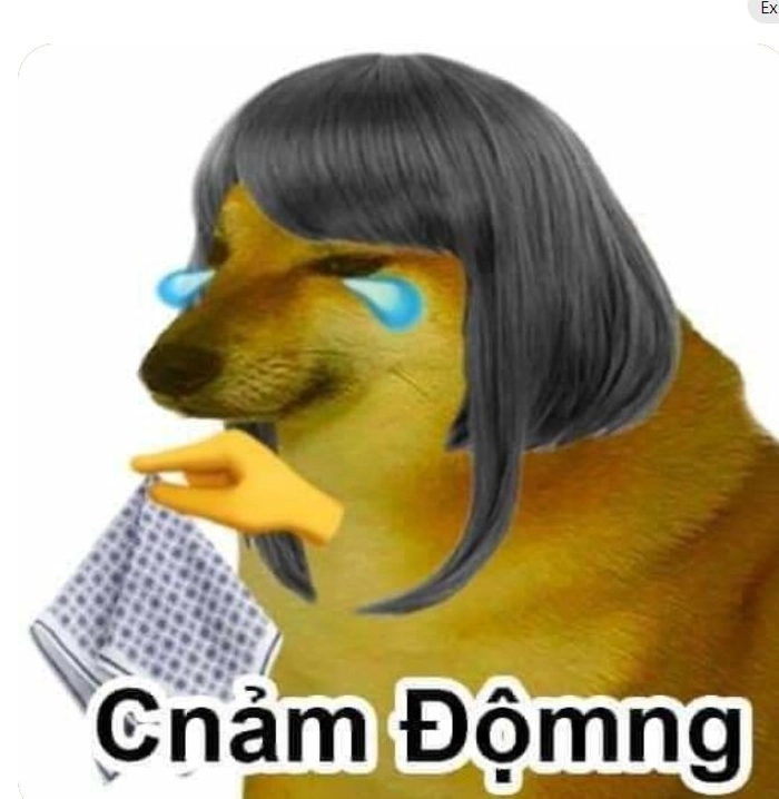 Ảnh meme chó buồn hài