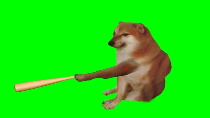 Ảnh meme chó cầm gậy đáng yêu