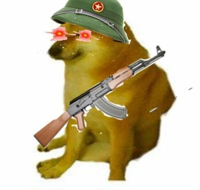Ảnh meme chó cầm súng bựa