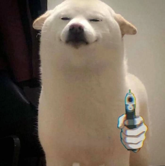 Ảnh meme chó cầm súng cute