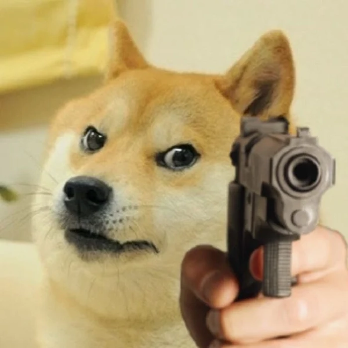Ảnh meme chó cầm súng đứng gác