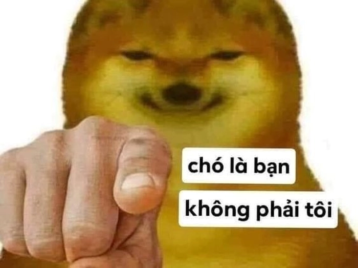Ảnh meme chó chỉ ngón tay ngộ nghĩnh