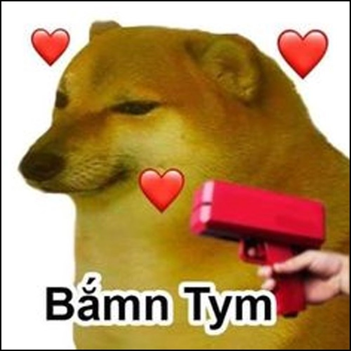 Ảnh meme con chó cầm súng buồn cười