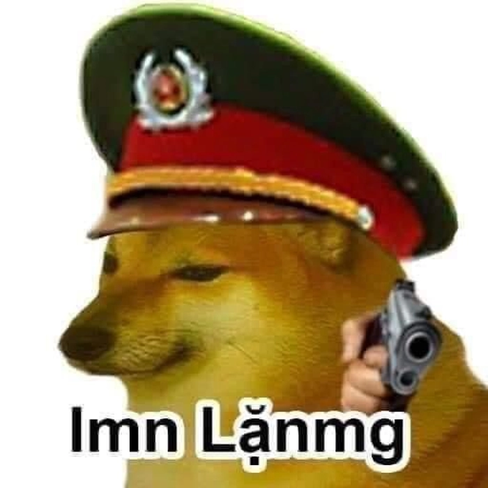 Ảnh meme con chó cầm súng mặt nghiêm