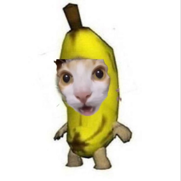 Ảnh meme mèo chuối gương mặt ngáo