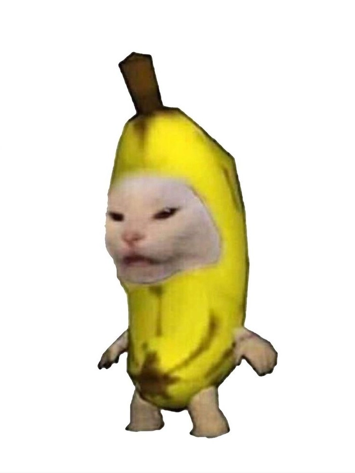 Ảnh meme mèo chuối troll