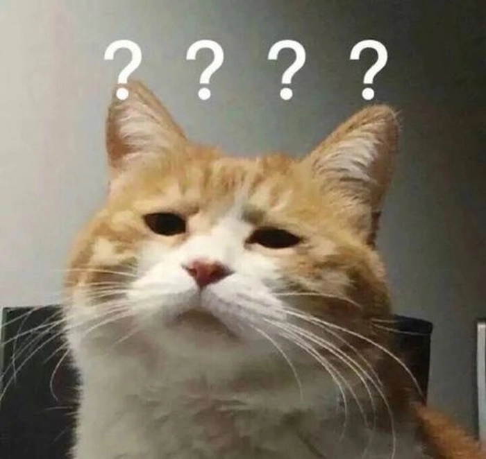 Ảnh mèo cam meme cute
