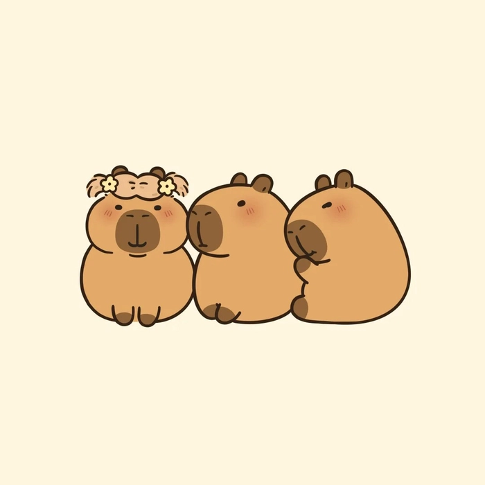 Capybara anime làm avatar
