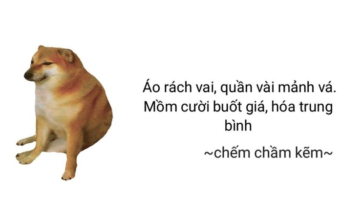 Chó Cheems meme