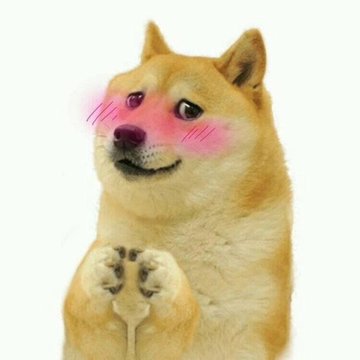 Chó Cheems ngơ ngác cute