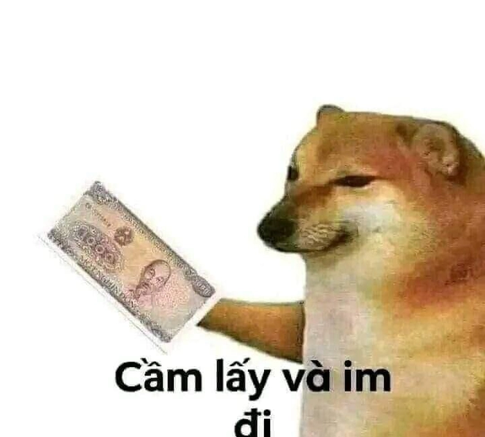Chó bựa meme bá đạo