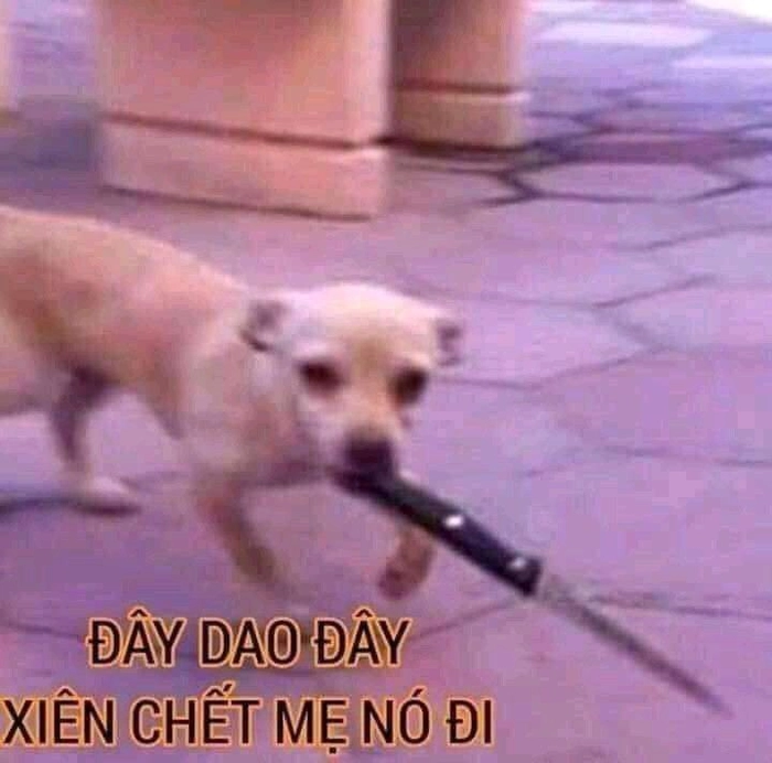 Chó cầm dao meme cực hài