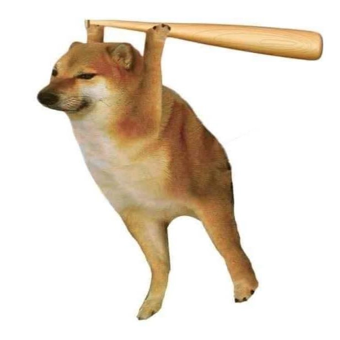 Chó cầm gậy meme cực đỉnh