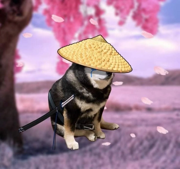 Chó cầm gậy meme ngầu bá cháy