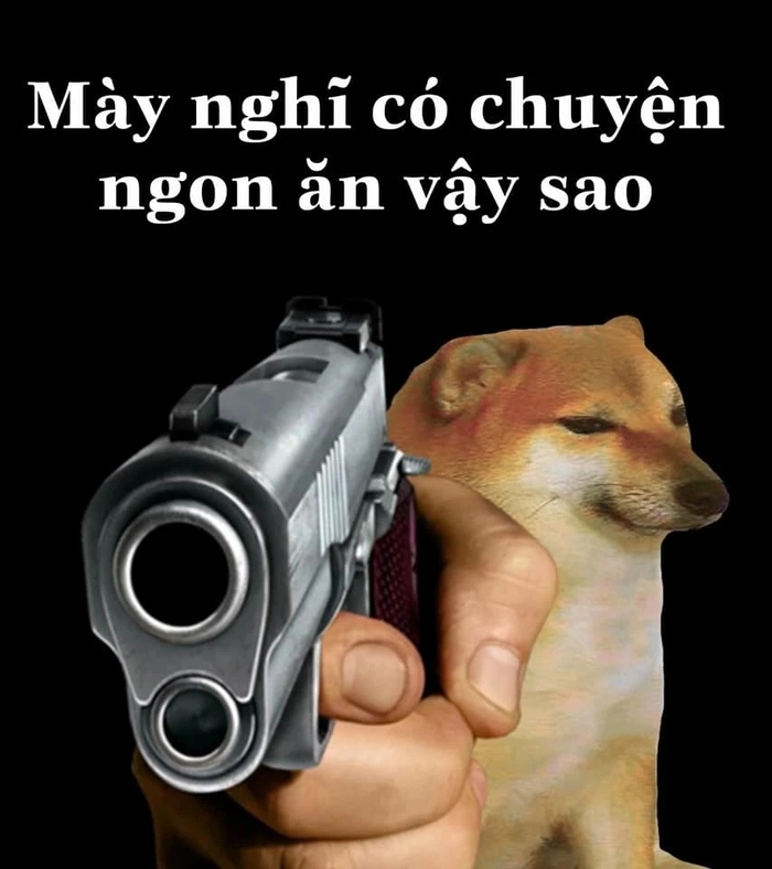 Chó cầm súng meme đang giận