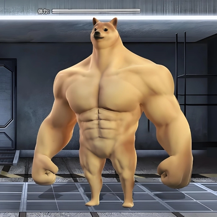 Chó cơ bắp meme trong phòng gym