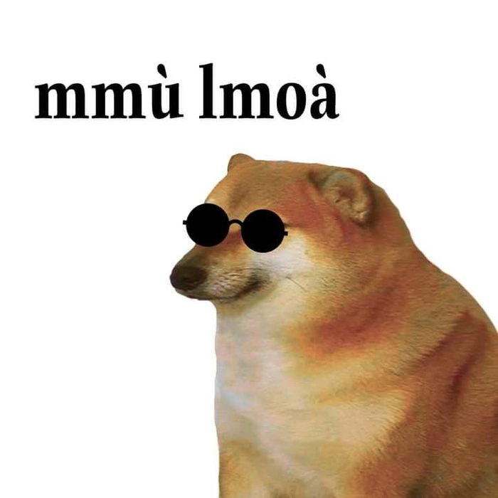 Chó đeo kính meme cực chất