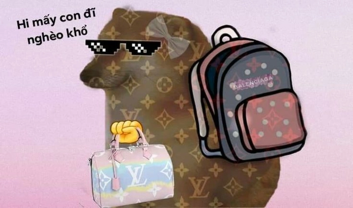 Chó đeo mắt kính meme không đỡ nổi