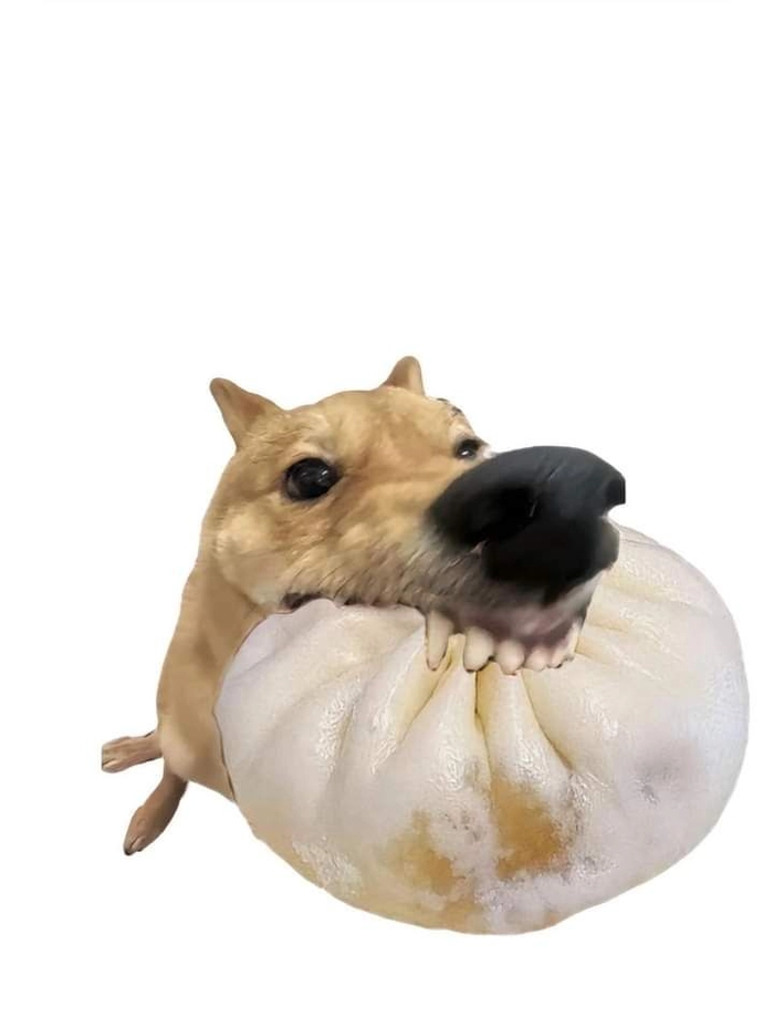Chó gặm đồ ăn meme