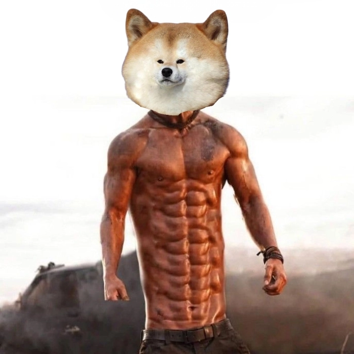Con chó cơ bắp meme khoe body nhiều múi