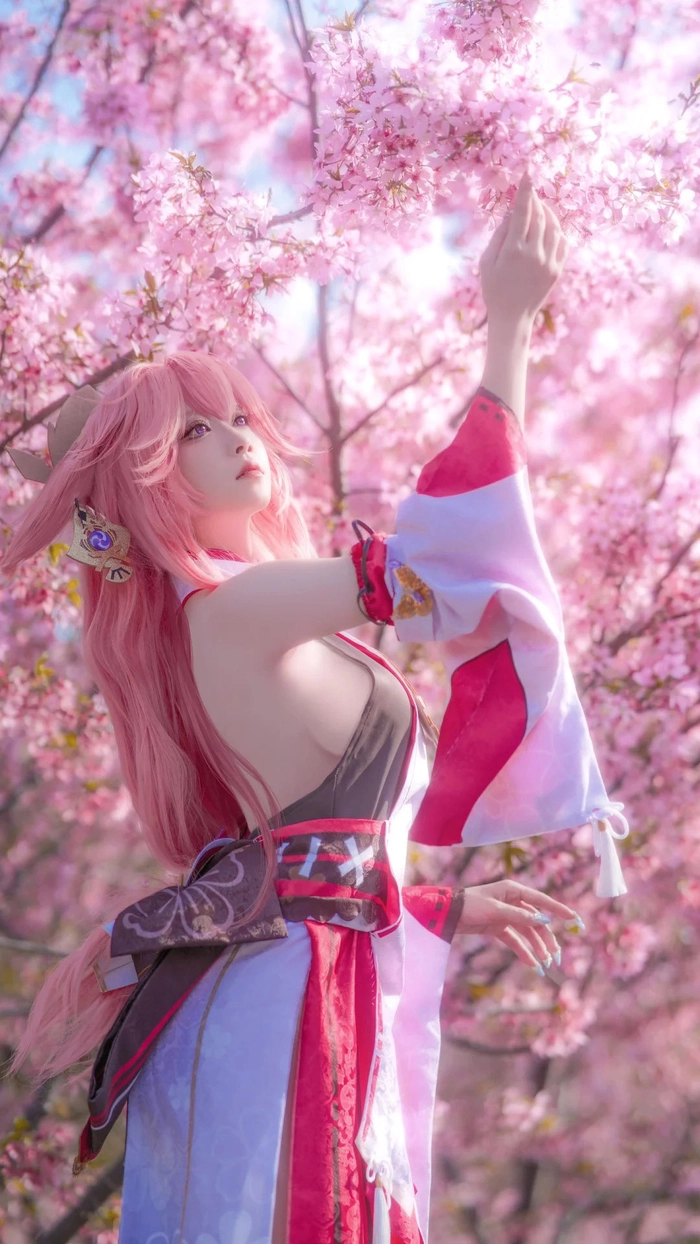 Gái xinh cosplay Genshin Impact bên hoa anh đào