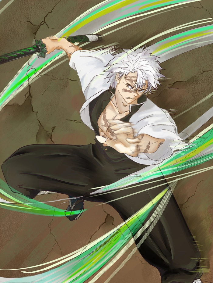 Hình ảnh Sanemi full body