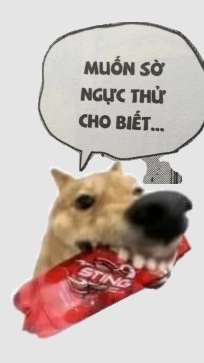Hình ảnh chó gặm sting đỏ meme