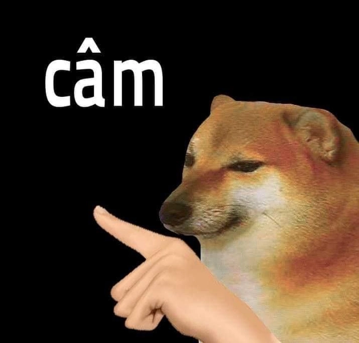 Hình ảnh meme chó Cheems câm nín