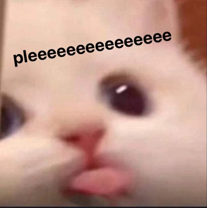 Hình ảnh meme mèo lè lưỡi