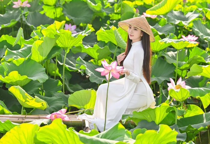 Hình gái xinh mặc áo dài chụp sen