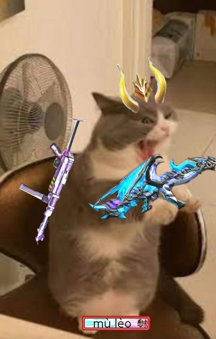 Hình meme con mèo bắn súng