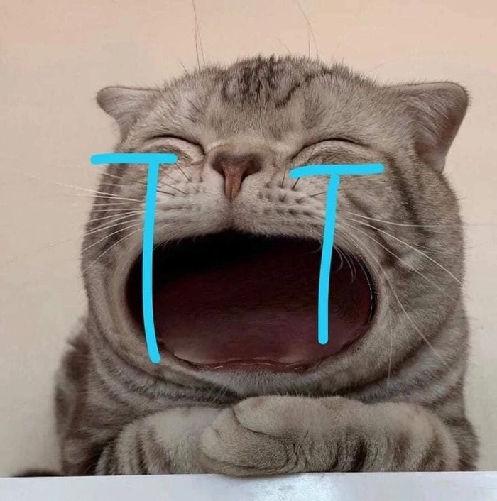 Hình meme mèo buồn sâu sắc