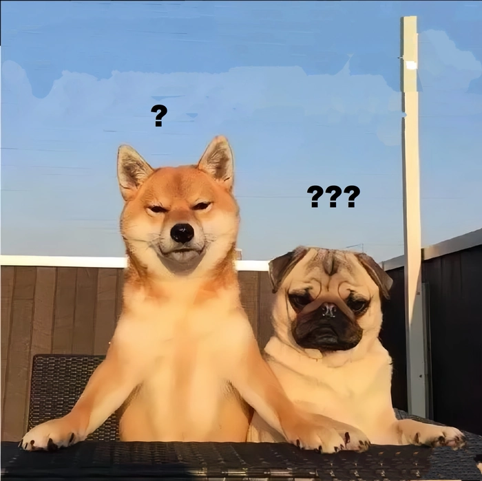 Meme 2 con chó và biểu cảm hài
