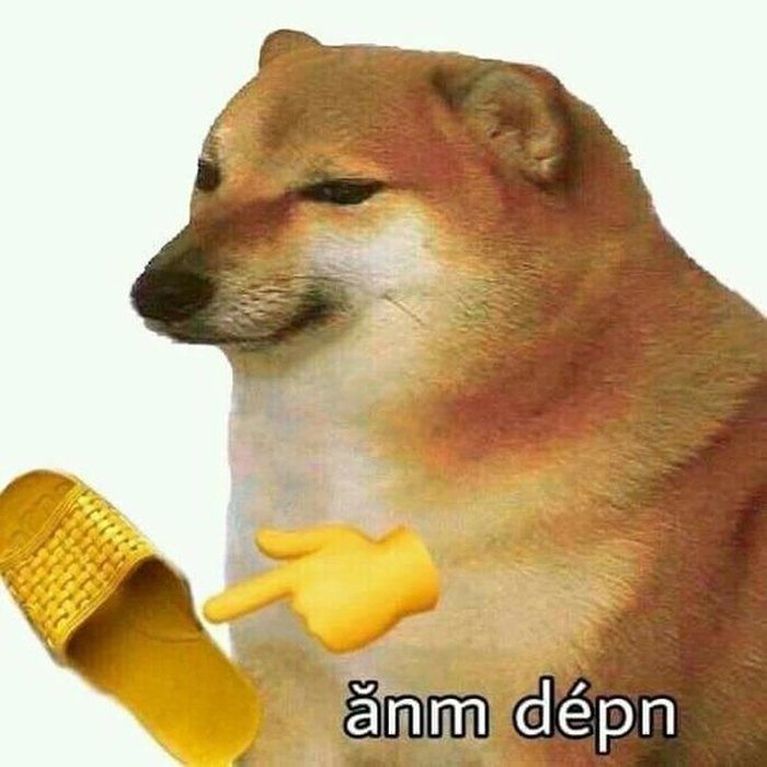 Meme Cheems buồn cười ăn dép