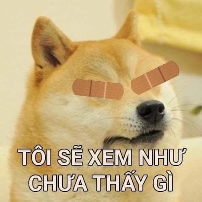 Meme Cheems chưa thấy gì