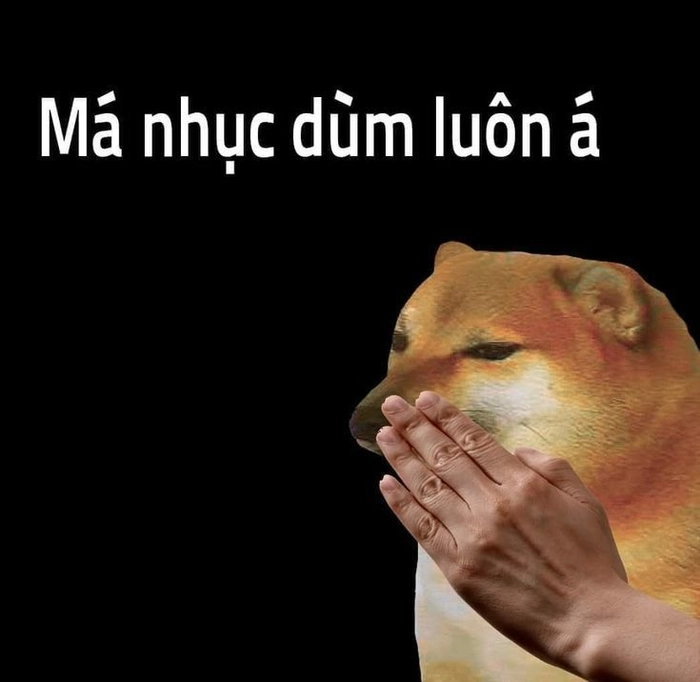 Meme Cheems hài hước nhục dùm