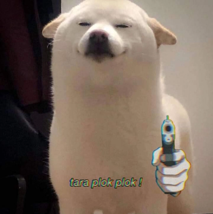 Meme ảnh chó hài