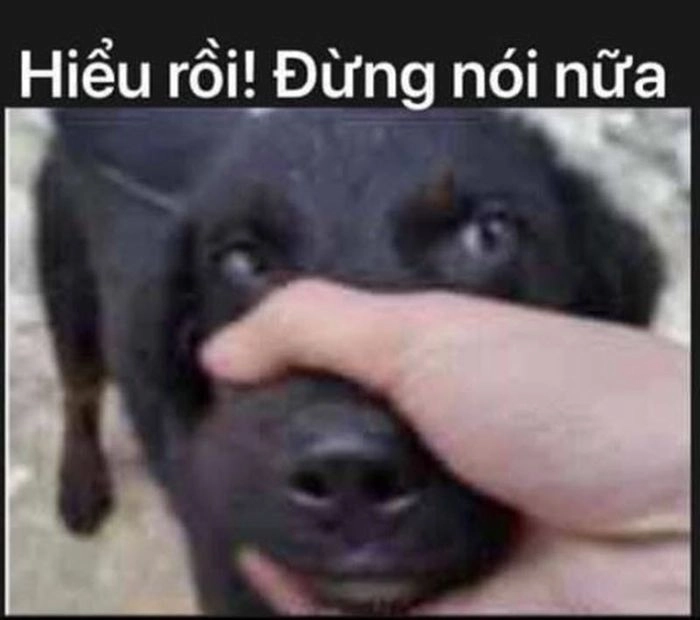 Meme bịt miệng chó chuẩn viral