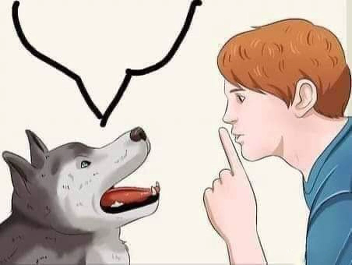 Meme bịt mõm chó lầy mà dễ thương