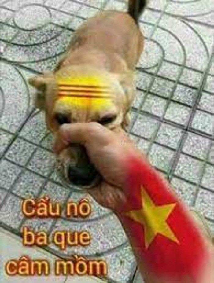 Meme bịt mõm chó siêu lầy