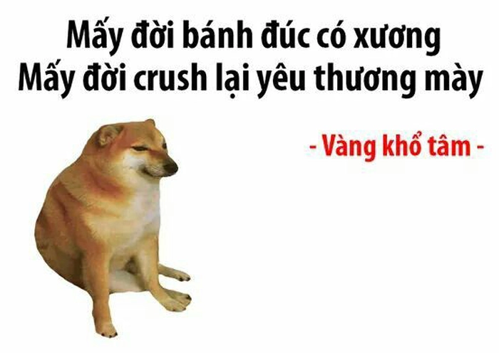 Meme chó Cheems biểu cảm