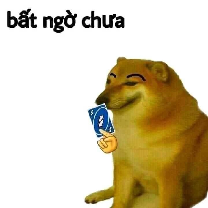 Meme chó Cheems ngáo ngơ