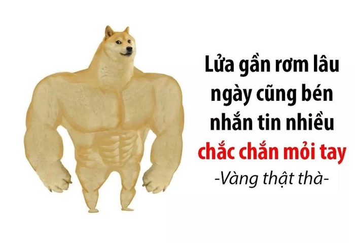 Meme chó Cheems và Doge