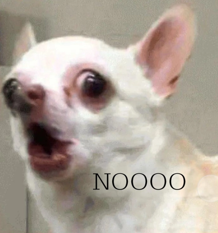 Meme chó Chihuahua trợn mắt