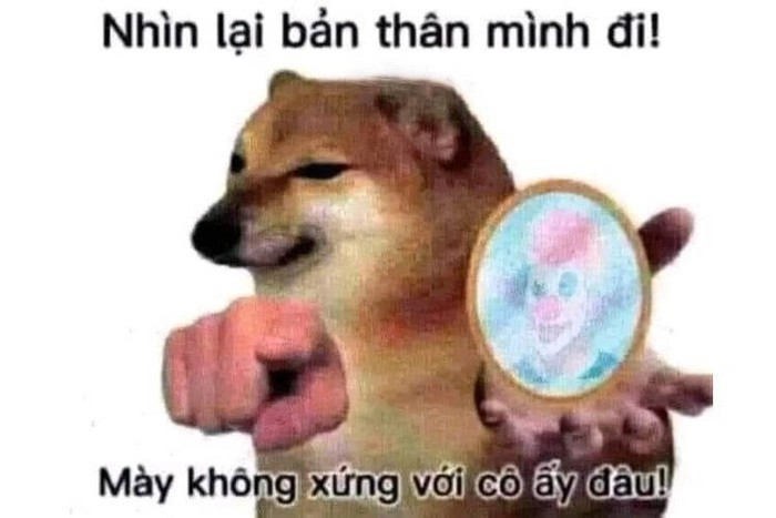 Meme chó Husky chỉ tay cười xỉu