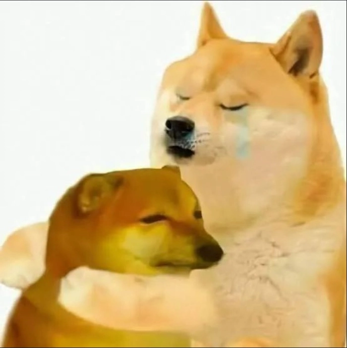 Meme chó bịt tai lầy lội